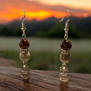 20230 ⭐️Carnelian agate/dragon blood jasper earrings⭐️